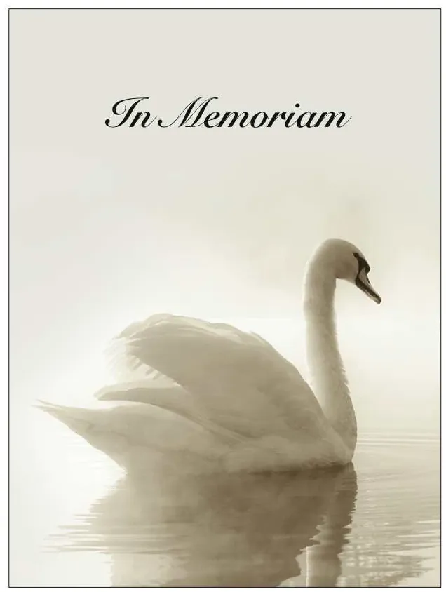 Memorial Card - MCN008, Memorial card design