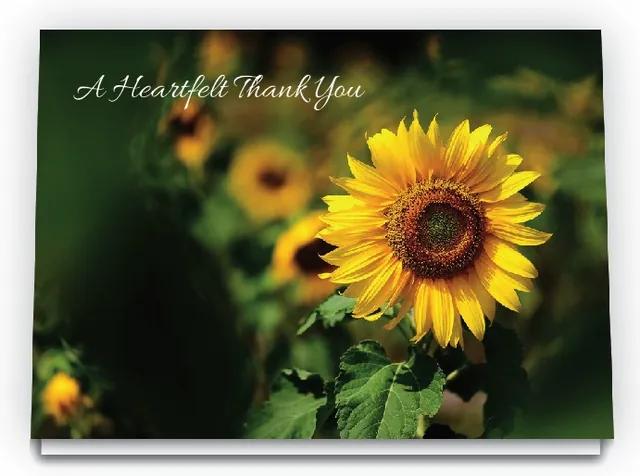 Acknowledgement Card - ACK427, Acknowledgement card design