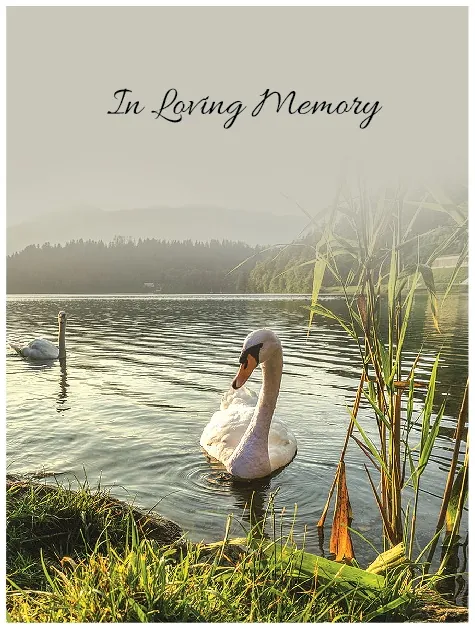 Memorial Card - MCN027, Memorial card design