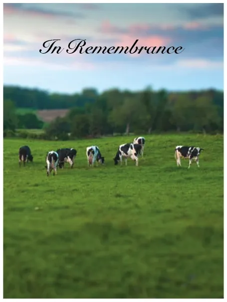 Memorial Card - MCN029, Memorial card design