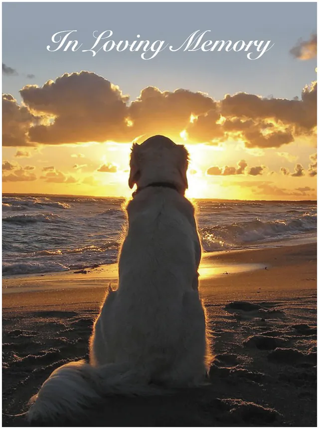 Memorial Card - MCN118, Memorial card design