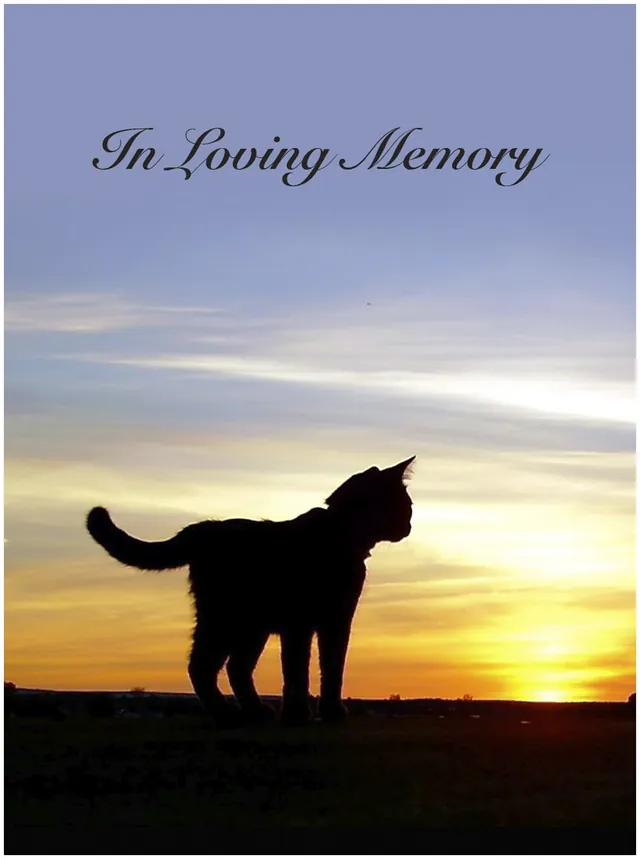 Memorial Card - MCN128, Memorial card design