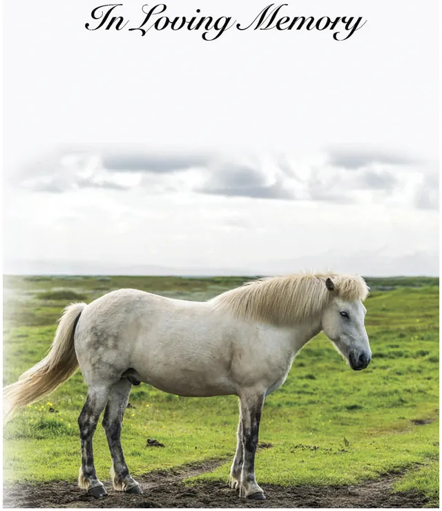 Memorial Card - MCN114, Memorial card design