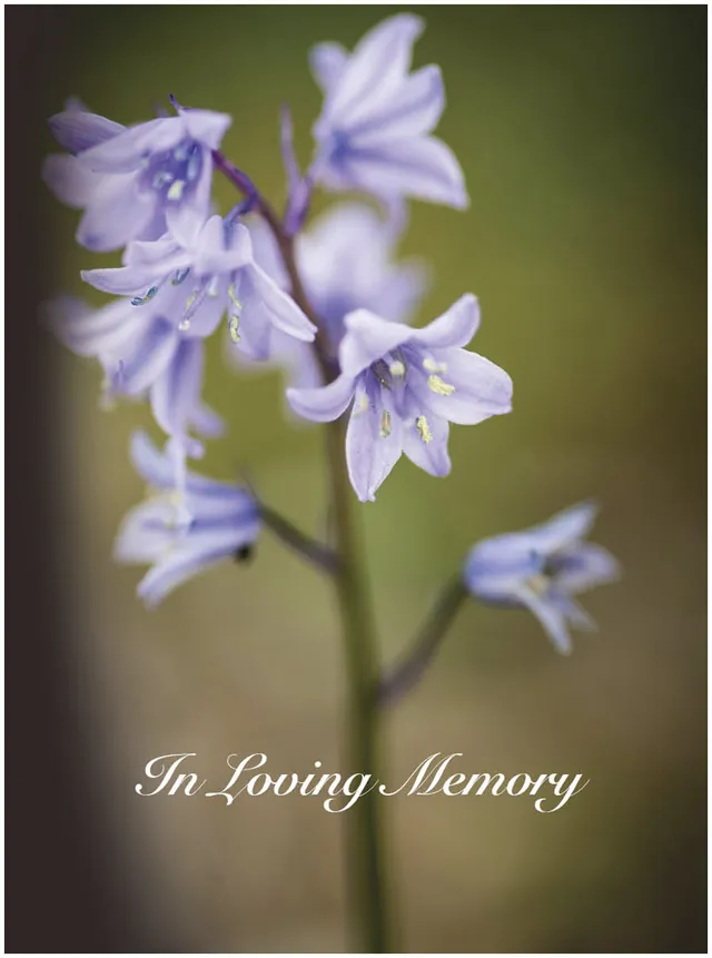Memorial Card - MCN109, Memorial card design